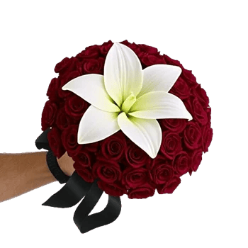 Crimson Rose Elegance