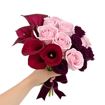 Elegant Calla Lilies