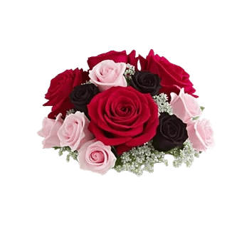 Crimson Rose Elegance