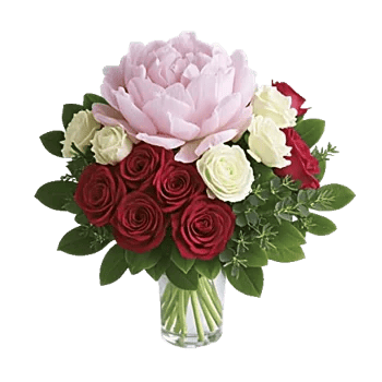 Petal Radiance Bliss