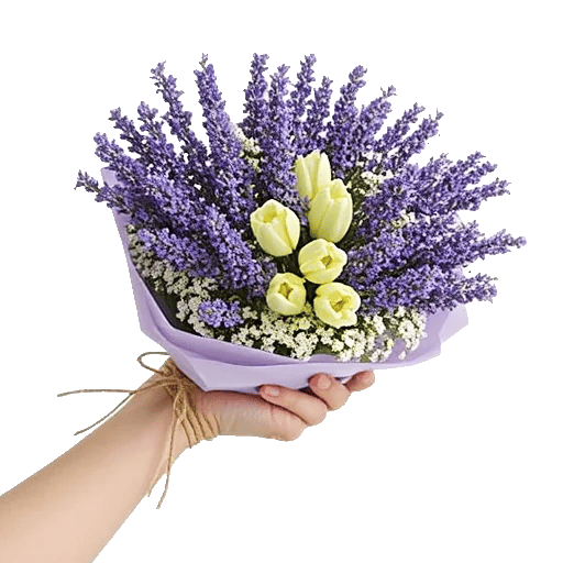 Lavender Bloom Grace