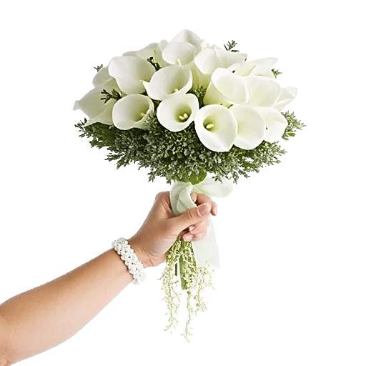 Elegant Calla Lilies