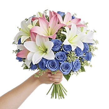 Blossom Harmony Display