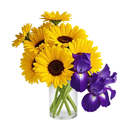 Golden Bloom Radiance