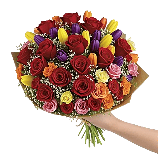 Tulip Rose Mix