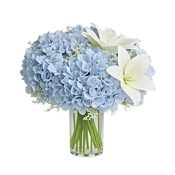 Azure Sky Blooms