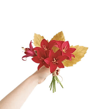 Crimson Lily Glow
