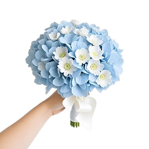 Serene Petal Harmony