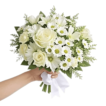 Ivory Garden Grace