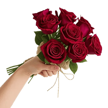 Crimson Rose Elegance