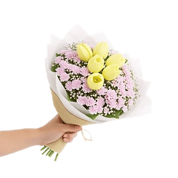 Blossom Harmony Display