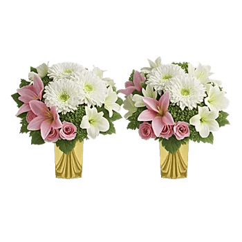 Blossom Harmony Display