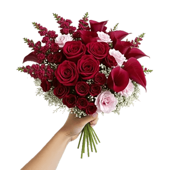 Crimson Rose Elegance