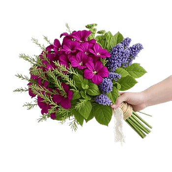 Rosemary Bloom Elegance