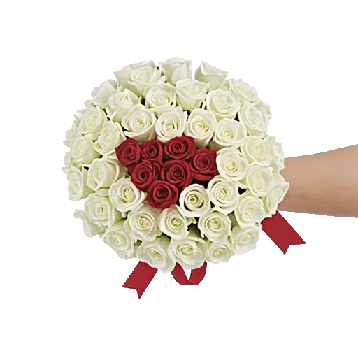 Crimson Rose Elegance
