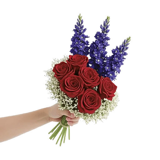 Blossom Petal Serenity