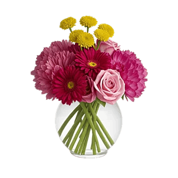 Petal Radiance Bliss