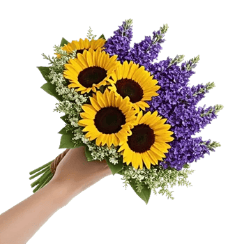 Twinkling Sunflower Dance