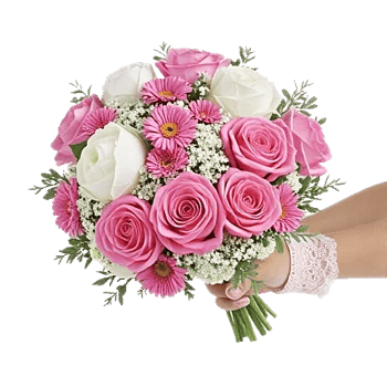 Pastel Pink Roses