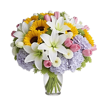 Blossom Harmony Display