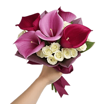 Elegant Calla Lilies