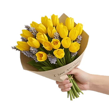 Tulip Rose Mix