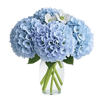 Azure Sky Blooms