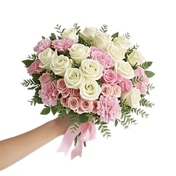 Pastel Pink Roses