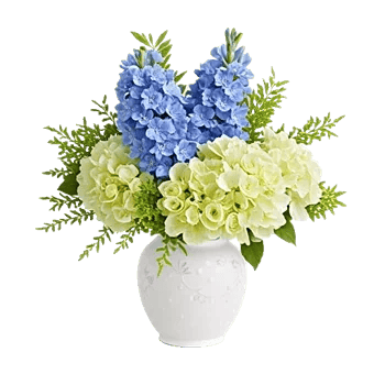 Serenity Blossom Grace