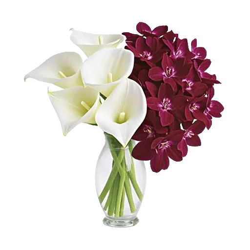 Elegant Calla Lilies