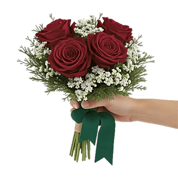 Crimson Rose Elegance