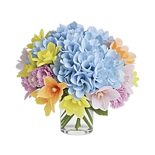 Azure Sky Blooms