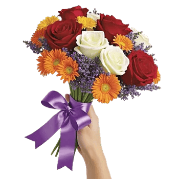 Crimson Rose Elegance