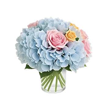 Serene Petal Harmony