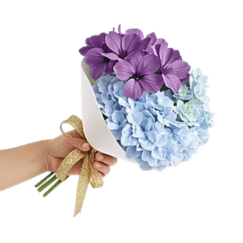 Sapphire Bloom Whisper