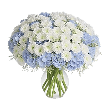 Ivory Blossom Radiance