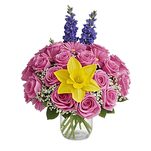 Petal Radiance Bliss