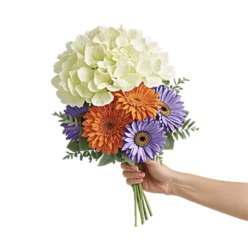 Ivory Blossom Radiance