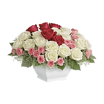 Delicate Petal Cascade