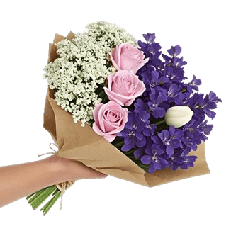 Blossom Harmony Display