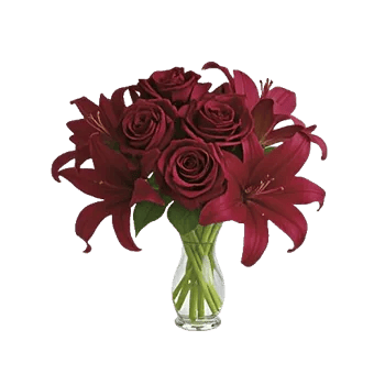 Crimson Blossom Harmony