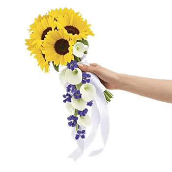 Radiant Bloom Cascade