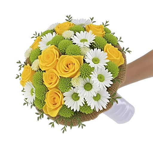 Blushing Rose Symphony