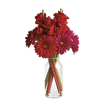 Crimson Blossom Harmony