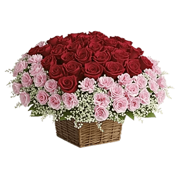 Delicate Petal Cascade