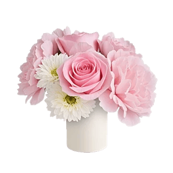 Pink Pastel Roses