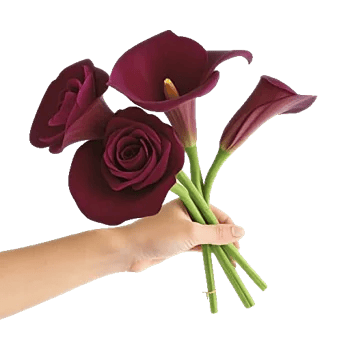 Elegant Calla Lilies