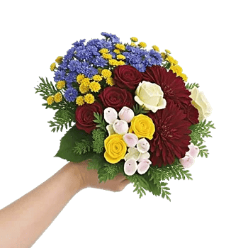 Blossom Petal Serenity