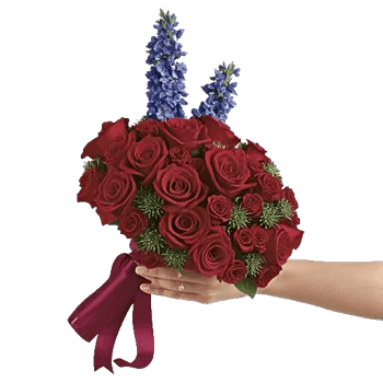 Blushing Rose Symphony