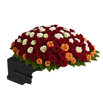 Crimson Rose Elegance